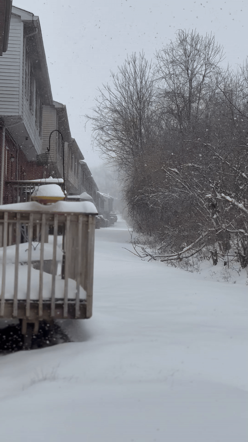 لَازِلْتُ في “مُفْتَرَقَاتِ الحَيَاةِ”